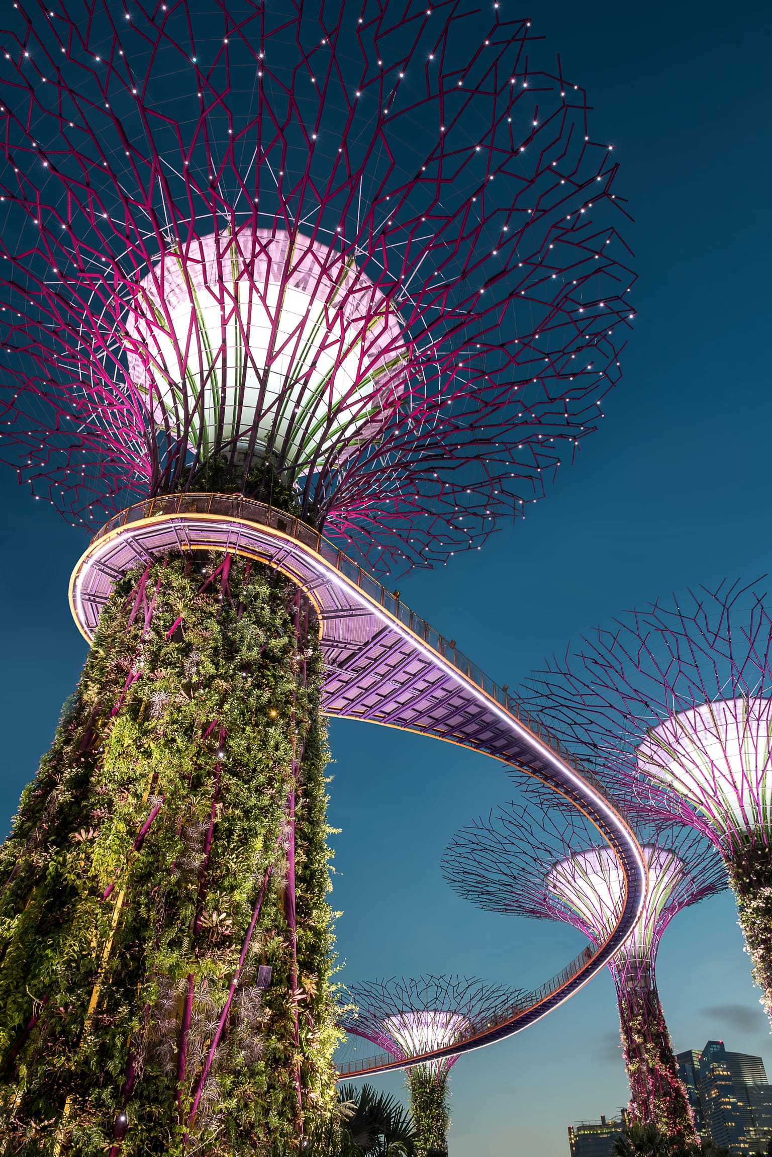 Singapore Culture & Heritage Package – Chinatown & Little India Tour tour package photo 1
