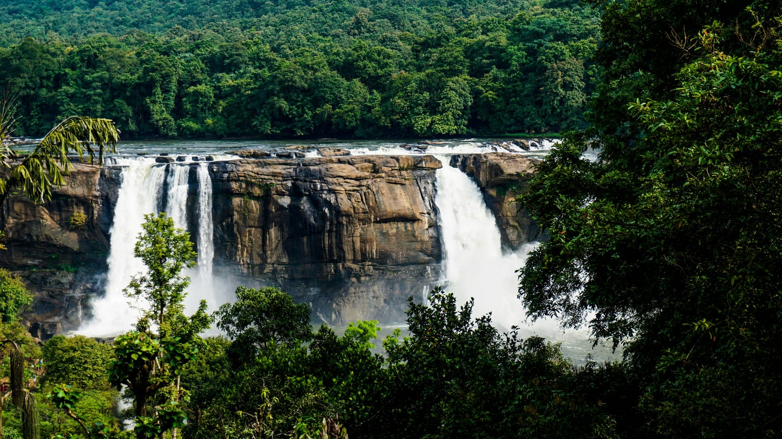 Kerala Backwaters & Hills | A South Indian Delight tour package photo 1
